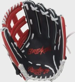 Rawlings 2022 Breakout 12-Inch Youth Outfield Glove -Rawlings BOYPT6 6NS 1